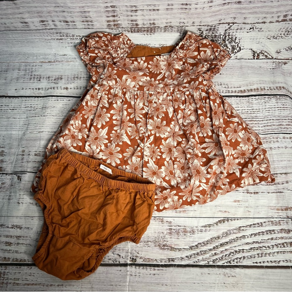 Baby Gap 3-6 Months Brown Floral Baby Puff Sleeve Babydoll Dress 2‎ Piece Set